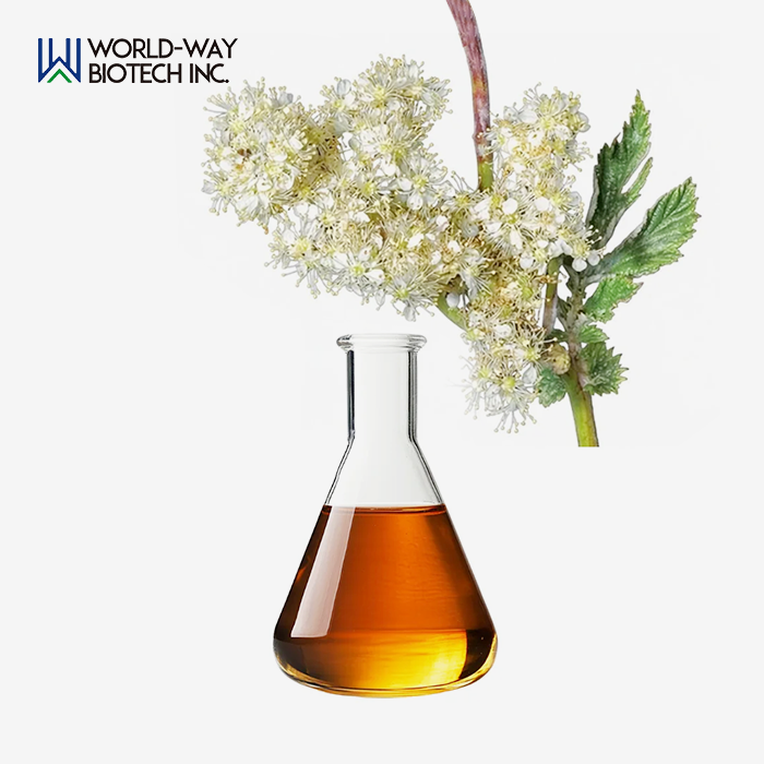 Filipendula Ulmaria Extract Filipendula Ulmaria Extract